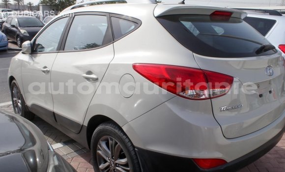 Acheter Import Voiture Hyundai Tucson Beige à Import - Dubai, Adrar Acheter Import Voiture Hyundai Tucson Beige à Import - Dubai, Adrar