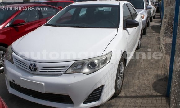 Acheter Import Voiture Toyota Camry Blanc à Import - Dubai, Adrar Acheter Import Voiture Toyota Camry Blanc à Import - Dubai, Adrar
