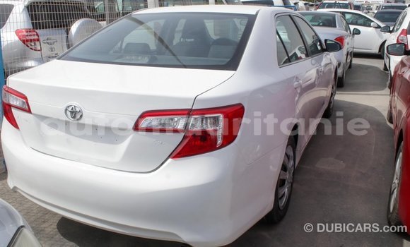 Acheter Import Voiture Toyota Camry Blanc à Import - Dubai, Adrar Acheter Import Voiture Toyota Camry Blanc à Import - Dubai, Adrar