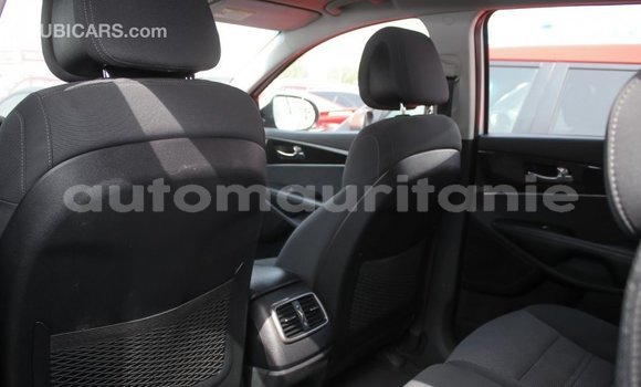 Acheter Import Voiture Kia Sorento Autre à Import - Dubai, Adrar Acheter Import Voiture Kia Sorento Autre à Import - Dubai, Adrar