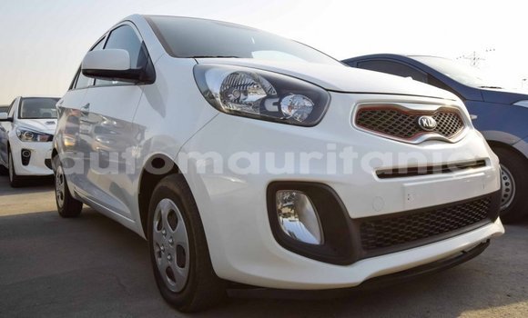 Acheter Import Voiture Kia Picanto Blanc à Import - Dubai, Adrar Acheter Import Voiture Kia Picanto Blanc à Import - Dubai, Adrar