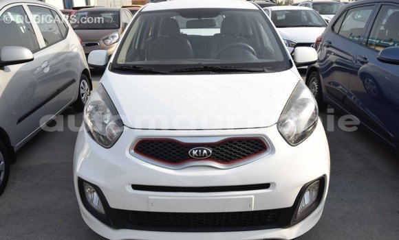 Acheter Import Voiture Kia Picanto Blanc à Import - Dubai, Adrar Acheter Import Voiture Kia Picanto Blanc à Import - Dubai, Adrar