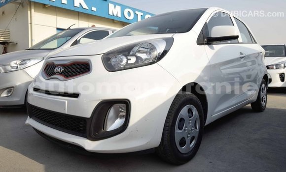 Acheter Import Voiture Kia Picanto Blanc à Import - Dubai, Adrar Acheter Import Voiture Kia Picanto Blanc à Import - Dubai, Adrar