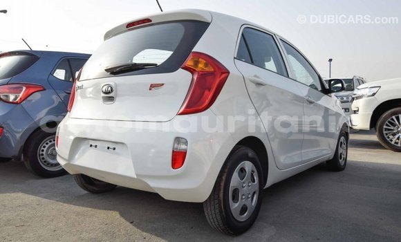 Acheter Import Voiture Kia Picanto Blanc à Import - Dubai, Adrar Acheter Import Voiture Kia Picanto Blanc à Import - Dubai, Adrar