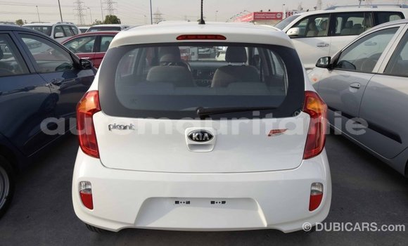 Acheter Import Voiture Kia Picanto Blanc à Import - Dubai, Adrar Acheter Import Voiture Kia Picanto Blanc à Import - Dubai, Adrar