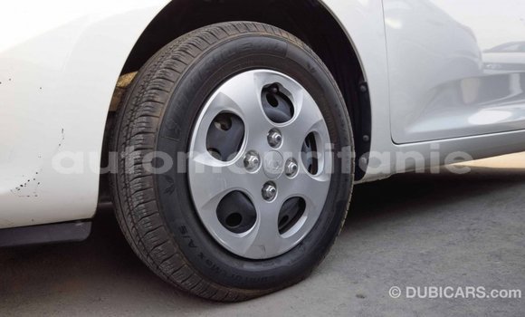 Acheter Import Voiture Kia Picanto Blanc à Import - Dubai, Adrar Acheter Import Voiture Kia Picanto Blanc à Import - Dubai, Adrar