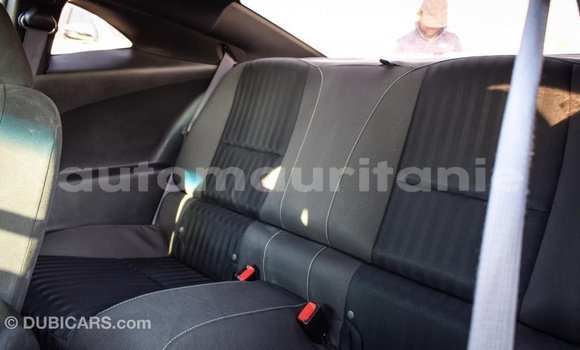 Acheter Import Voiture Chevrolet Camaro Autre à Import - Dubai, Adrar Acheter Import Voiture Chevrolet Camaro Autre à Import - Dubai, Adrar