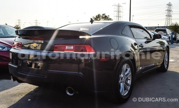 Acheter Import Voiture Chevrolet Camaro Autre à Import - Dubai, Adrar Acheter Import Voiture Chevrolet Camaro Autre à Import - Dubai, Adrar