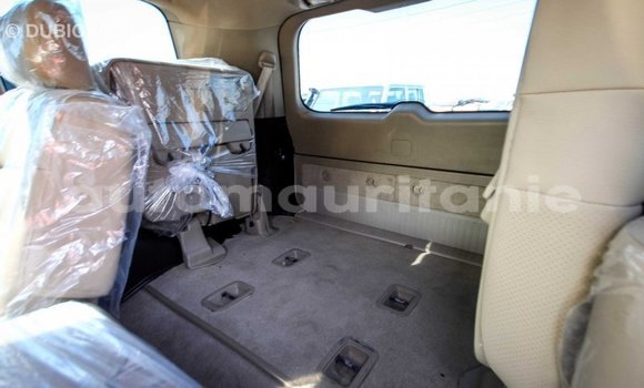 Acheter Import Voiture Toyota Land Cruiser Blanc à Import - Dubai, Adrar Acheter Import Voiture Toyota Land Cruiser Blanc à Import - Dubai, Adrar