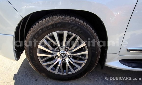 Acheter Import Voiture Toyota Land Cruiser Blanc à Import - Dubai, Adrar Acheter Import Voiture Toyota Land Cruiser Blanc à Import - Dubai, Adrar