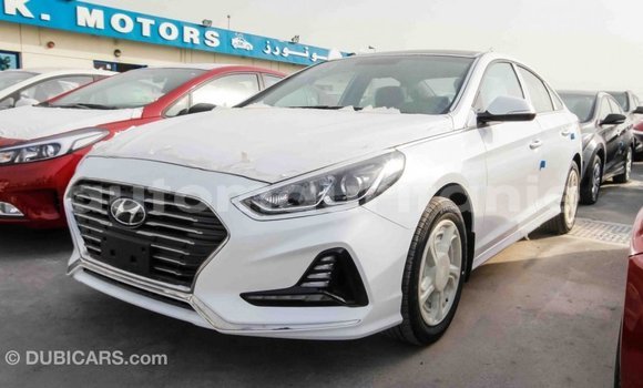Acheter Import Voiture Hyundai Sonata Blanc à Import - Dubai, Adrar Acheter Import Voiture Hyundai Sonata Blanc à Import - Dubai, Adrar