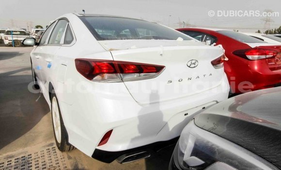 Acheter Import Voiture Hyundai Sonata Blanc à Import - Dubai, Adrar Acheter Import Voiture Hyundai Sonata Blanc à Import - Dubai, Adrar