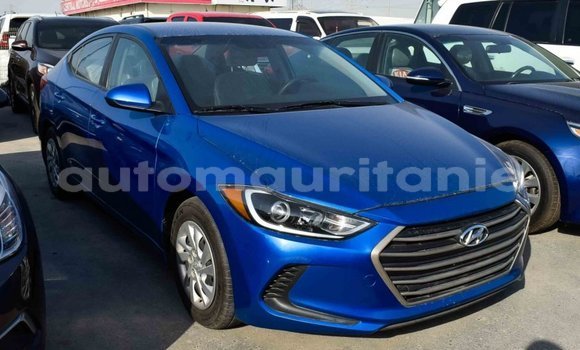 Acheter Import Voiture Hyundai Elantra Bleu à Import - Dubai, Adrar Acheter Import Voiture Hyundai Elantra Bleu à Import - Dubai, Adrar