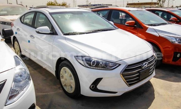 Acheter Import Voiture Hyundai Elantra Blanc à Import - Dubai, Adrar Acheter Import Voiture Hyundai Elantra Blanc à Import - Dubai, Adrar