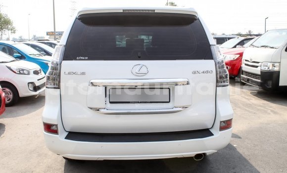 Acheter Import Voiture Lexus GX Blanc à Import - Dubai, Adrar Acheter Import Voiture Lexus GX Blanc à Import - Dubai, Adrar