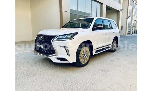 Buy Import Lexus LX White Car in Import - Dubai in Adrar Buy Import Lexus LX White Car in Import - Dubai in Adrar
