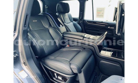 Buy Import Lexus LX Other Car in Import - Dubai in Adrar Buy Import Lexus LX Other Car in Import - Dubai in Adrar