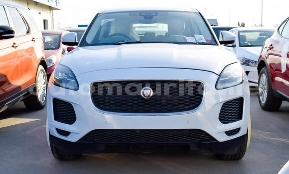 Acheter Import Voiture Jaguar E-Pace Blanc à Import - Dubai, Adrar Acheter Import Voiture Jaguar E-Pace Blanc à Import - Dubai, Adrar