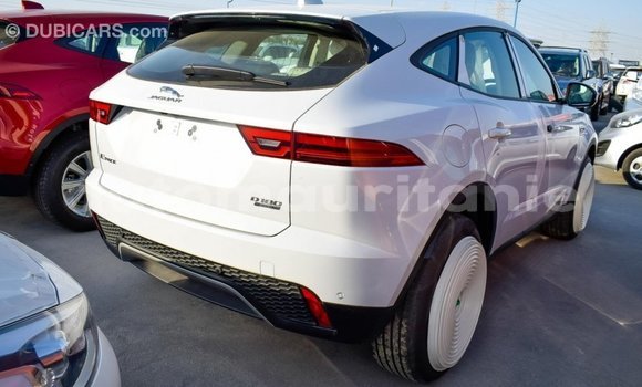 Acheter Import Voiture Jaguar E-Pace Blanc à Import - Dubai, Adrar Acheter Import Voiture Jaguar E-Pace Blanc à Import - Dubai, Adrar