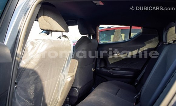 Acheter Import Voiture Toyota C-HR Autre à Import - Dubai, Adrar Acheter Import Voiture Toyota C-HR Autre à Import - Dubai, Adrar