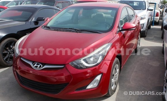 Acheter Import Voiture Hyundai Elantra Rouge à Import - Dubai, Adrar Acheter Import Voiture Hyundai Elantra Rouge à Import - Dubai, Adrar