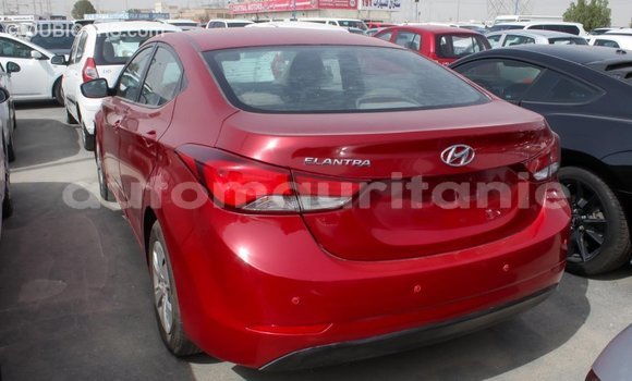 Acheter Import Voiture Hyundai Elantra Rouge à Import - Dubai, Adrar Acheter Import Voiture Hyundai Elantra Rouge à Import - Dubai, Adrar