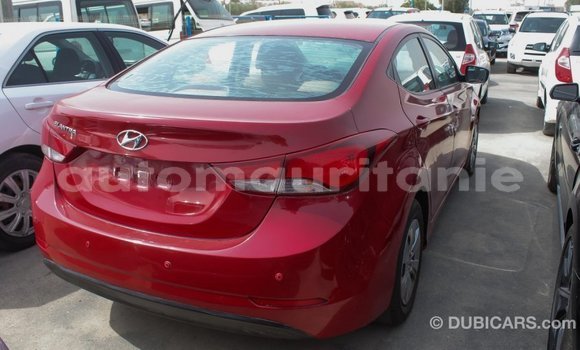 Acheter Import Voiture Hyundai Elantra Rouge à Import - Dubai, Adrar Acheter Import Voiture Hyundai Elantra Rouge à Import - Dubai, Adrar