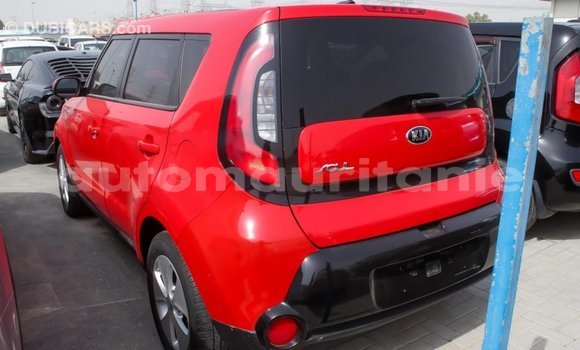 Acheter Import Voiture Kia Soul Rouge à Import - Dubai, Adrar Acheter Import Voiture Kia Soul Rouge à Import - Dubai, Adrar