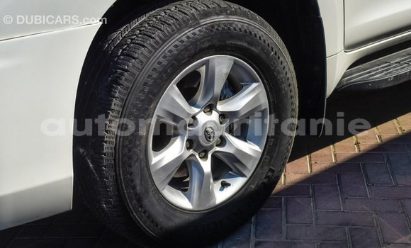 Acheter Import Voiture Toyota Prado Blanc à Import - Dubai, Adrar Acheter Import Voiture Toyota Prado Blanc à Import - Dubai, Adrar