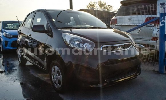 Acheter Import Voiture Kia Picanto Noir à Import - Dubai, Adrar Acheter Import Voiture Kia Picanto Noir à Import - Dubai, Adrar