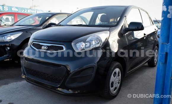 Acheter Import Voiture Kia Picanto Noir à Import - Dubai, Adrar Acheter Import Voiture Kia Picanto Noir à Import - Dubai, Adrar