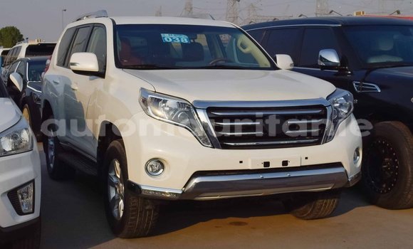 Acheter Import Voiture Toyota Prado Blanc à Import - Dubai, Adrar Acheter Import Voiture Toyota Prado Blanc à Import - Dubai, Adrar