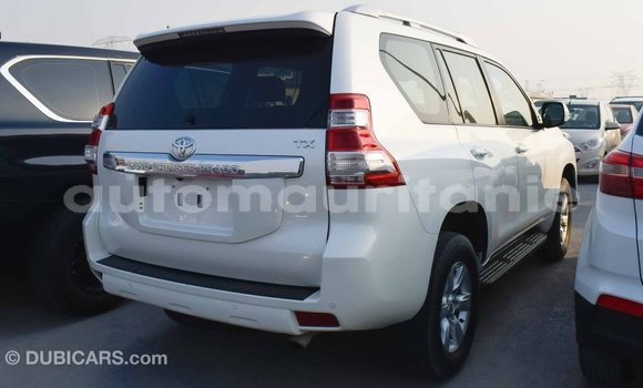 Acheter Import Voiture Toyota Prado Blanc à Import - Dubai, Adrar Acheter Import Voiture Toyota Prado Blanc à Import - Dubai, Adrar