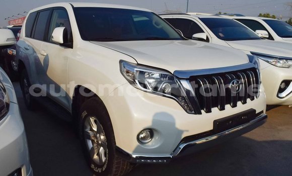 Acheter Import Voiture Toyota Prado Blanc à Import - Dubai, Adrar Acheter Import Voiture Toyota Prado Blanc à Import - Dubai, Adrar