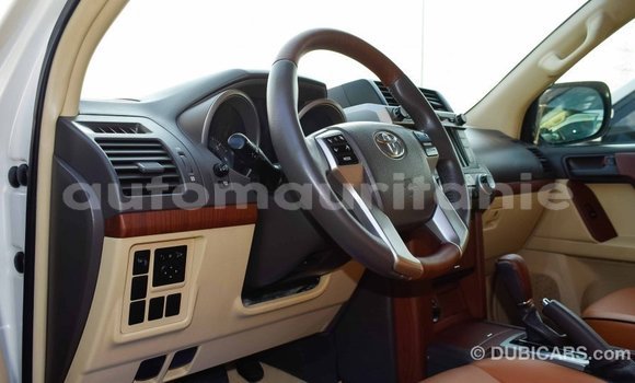 Acheter Import Voiture Toyota Prado Blanc à Import - Dubai, Adrar Acheter Import Voiture Toyota Prado Blanc à Import - Dubai, Adrar