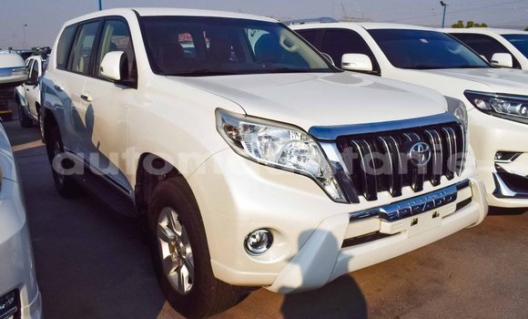 Acheter Import Voiture Toyota Prado Blanc à Import - Dubai, Adrar Acheter Import Voiture Toyota Prado Blanc à Import - Dubai, Adrar