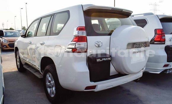 Acheter Import Voiture Toyota Prado Blanc à Import - Dubai, Adrar Acheter Import Voiture Toyota Prado Blanc à Import - Dubai, Adrar