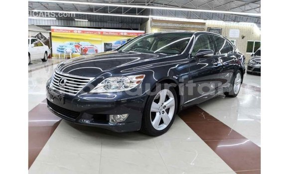 Buy Import Lexus LS Other Car in Import - Dubai in Adrar Buy Import Lexus LS Other Car in Import - Dubai in Adrar
