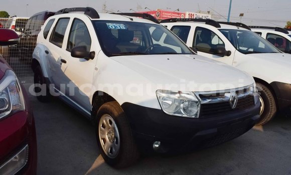 Acheter Import Voiture Renault Duster Blanc à Import - Dubai, Adrar