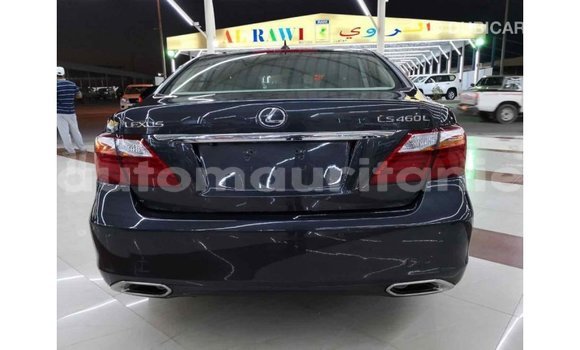 Buy Import Lexus LS Other Car in Import - Dubai in Adrar Buy Import Lexus LS Other Car in Import - Dubai in Adrar