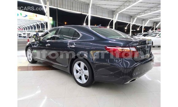 Buy Import Lexus LS Other Car in Import - Dubai in Adrar Buy Import Lexus LS Other Car in Import - Dubai in Adrar