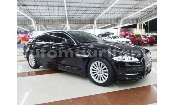 Buy Import Jaguar XJ Black Car in Import - Dubai in Adrar Buy Import Jaguar XJ Black Car in Import - Dubai in Adrar