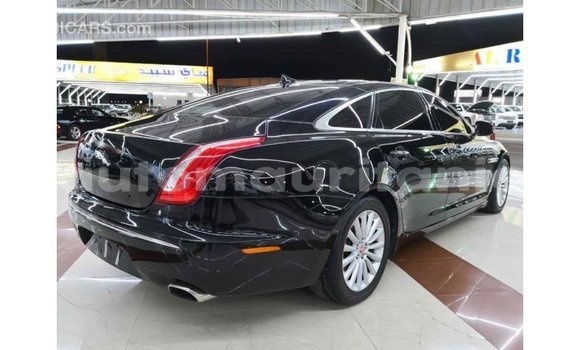 Buy Import Jaguar XJ Black Car in Import - Dubai in Adrar Buy Import Jaguar XJ Black Car in Import - Dubai in Adrar