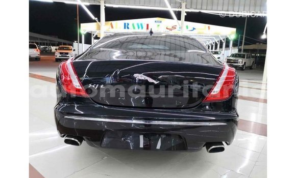 Buy Import Jaguar XJ Black Car in Import - Dubai in Adrar Buy Import Jaguar XJ Black Car in Import - Dubai in Adrar