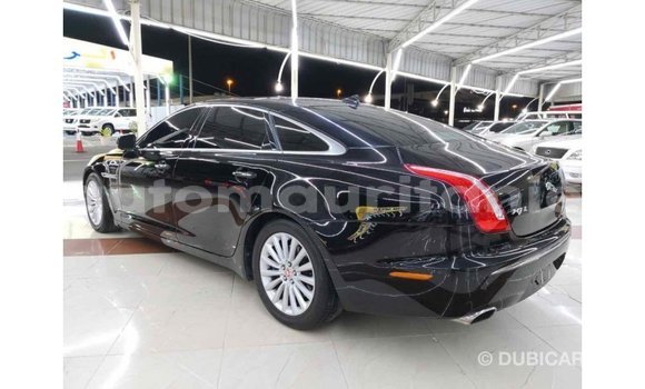 Buy Import Jaguar XJ Black Car in Import - Dubai in Adrar Buy Import Jaguar XJ Black Car in Import - Dubai in Adrar