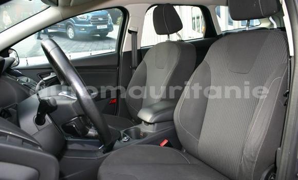 Buy Used Ford Focus Other Car in Nouadhibou in Dakhlet Nouadhibou Buy Used Ford Focus Other Car in Nouadhibou in Dakhlet Nouadhibou