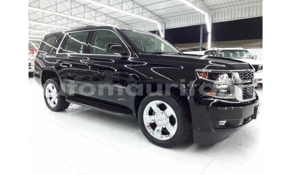 Buy Import Chevrolet Tahoe Black Car in Import - Dubai in Adrar Buy Import Chevrolet Tahoe Black Car in Import - Dubai in Adrar