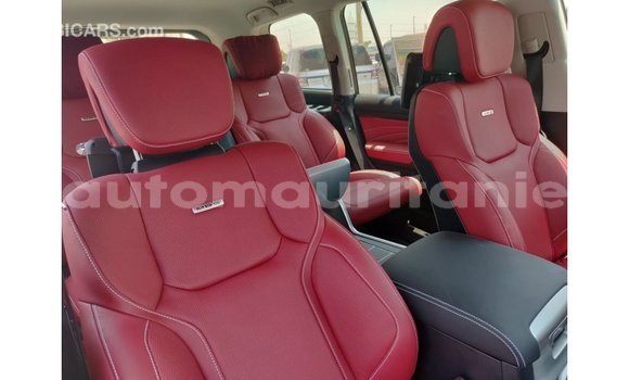 Buy Import Toyota Land Cruiser Black Car in Import - Dubai in Adrar Buy Import Toyota Land Cruiser Black Car in Import - Dubai in Adrar