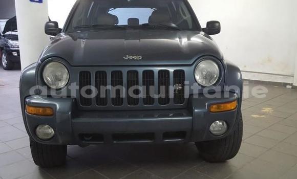 Acheter Occasion Voiture Jeep Cherokee Autre à Adel Bagrou, Hodh ech Chargui