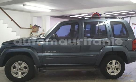 Buy Used Jeep Cherokee Other Car in Adel Bagrou in Hodh ech Chargui Buy Used Jeep Cherokee Other Car in Adel Bagrou in Hodh ech Chargui